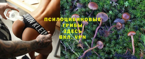 apvp Семёнов