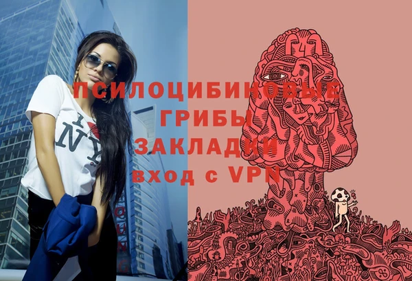 мяу мяу мука Баксан